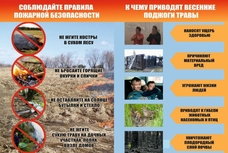 Правила пожарной безопасности в пожароопасный период Правила пожарной безопасности в пожароопасный период.